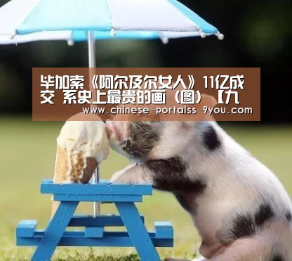 毕加索《阿尔及尔女人》11亿成交 系史上最贵的画(图)【九游官网下载】(图1) 九游官网下载