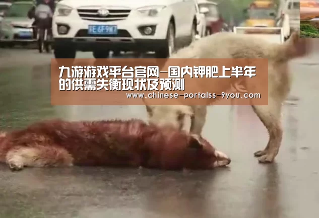 九游游戏平台官网-国内钾肥上半年的供需失衡现状及预测(图1) 九游游戏中心手机版