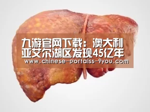 九游官网下载:澳大利亚艾尔湖区发现45亿年陨石 或比地球还古老(图)(图3) 九游游戏平台官网