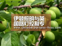 伊顿照明与英国路灯控制专家Telensa合作发展智能照明-九游游戏盒子下载(图2) 九游官网下载